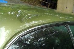 The roof took the brunt of the hit from the tree