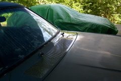 Buffed out the cowl grill to see how it would turn out, surprisingly well considering