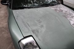 After about 30 minutes of using a DA sander and getting nowhere, I used paint stripper to remove all the paint